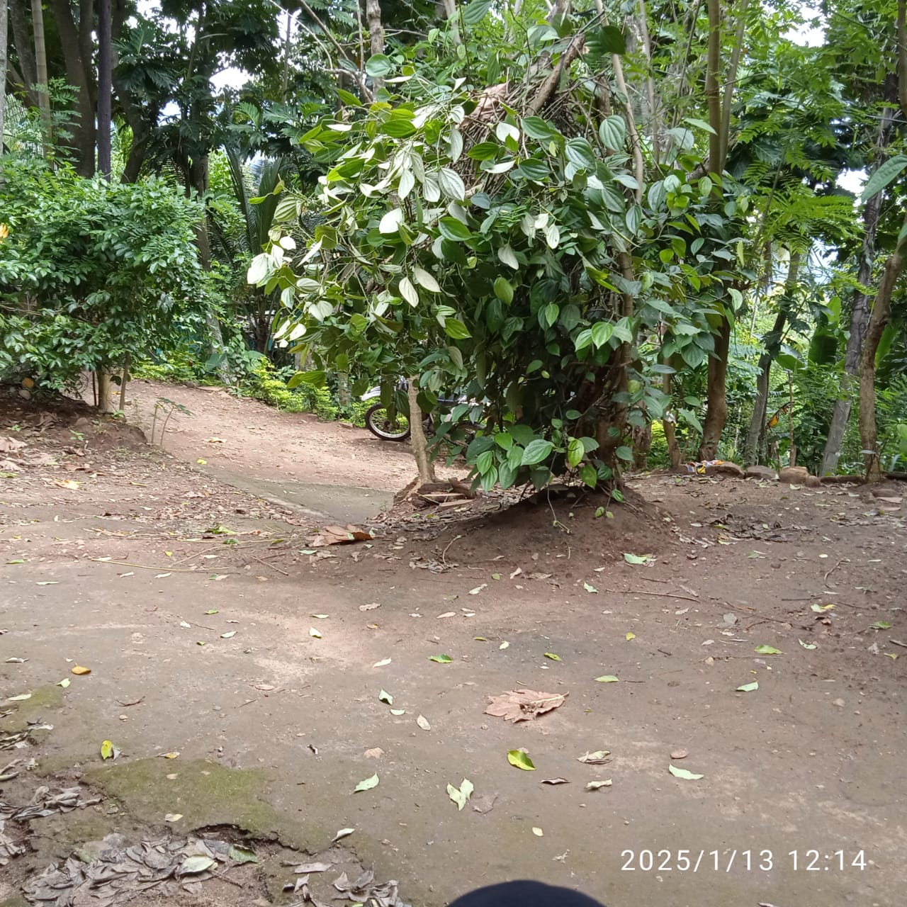 House with land for sale (Karadagolla)