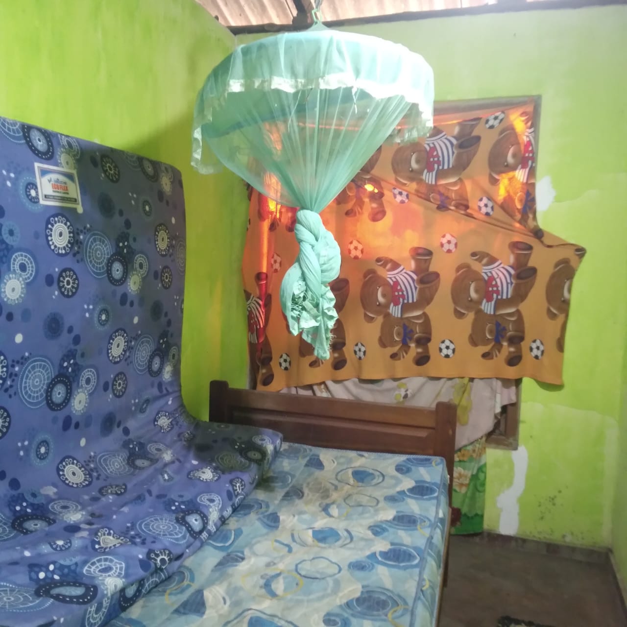 House with land for sale (Karadagolla)