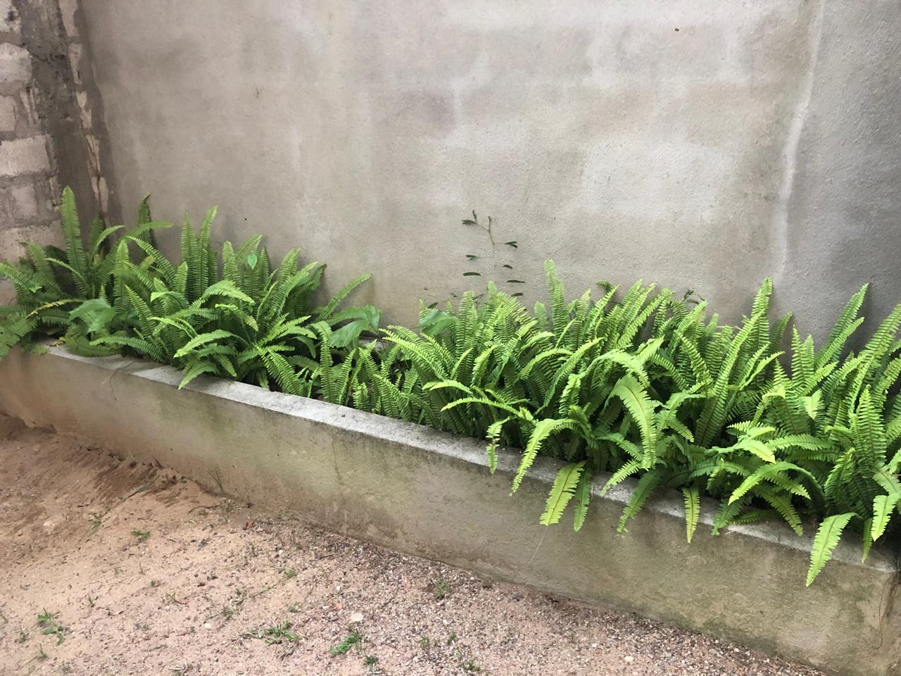 LAND WITH UNDER CONSTRUCTION HOUSE