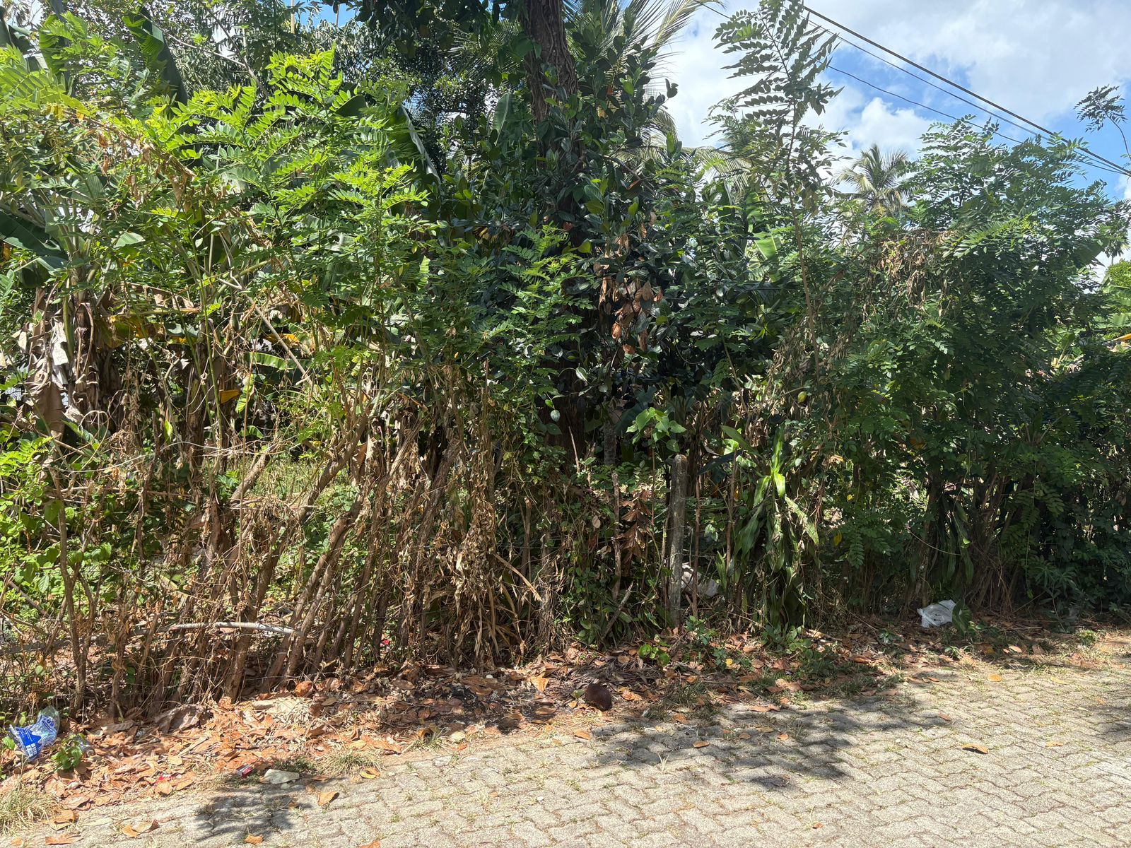 පදිංචියටත් අතුරුගිරියෙන් හොඳම තැනක්