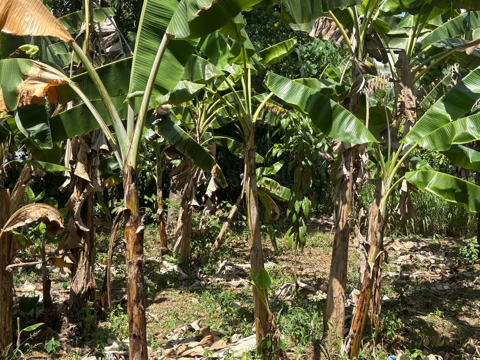 පදිංචියටත් අතුරුගිරියෙන් හොඳම තැනක්