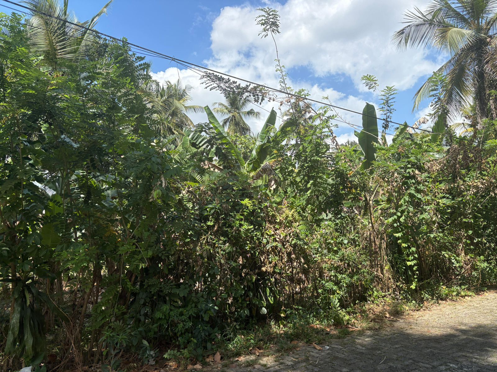 පදිංචියටත් අතුරුගිරියෙන් හොඳම තැනක්