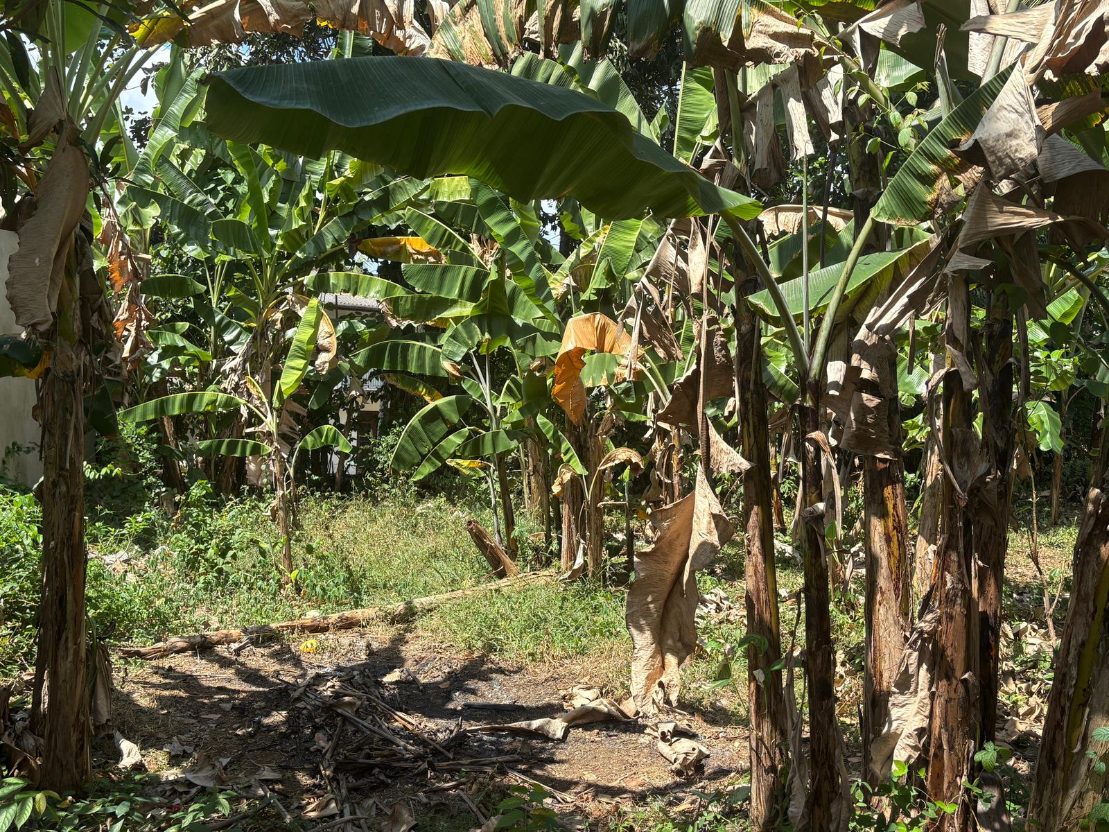 පදිංචියටත් අතුරුගිරියෙන් හොඳම තැනක්