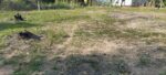 15 Perch Residential Land at Minuwangoda
