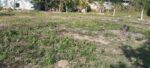 15 Perch Residential Land at Minuwangoda