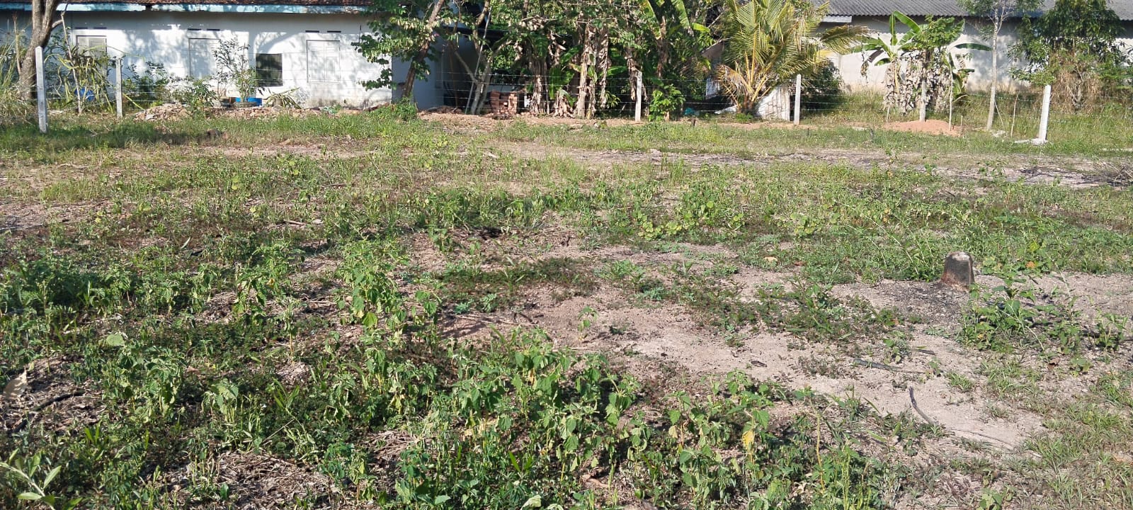 15 Perch Residential Land at Minuwangoda