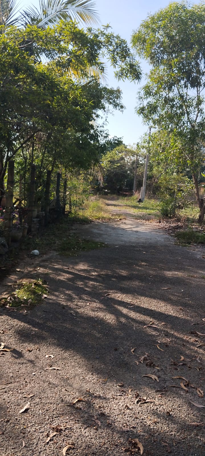 15 Perch Residential Land at Minuwangoda