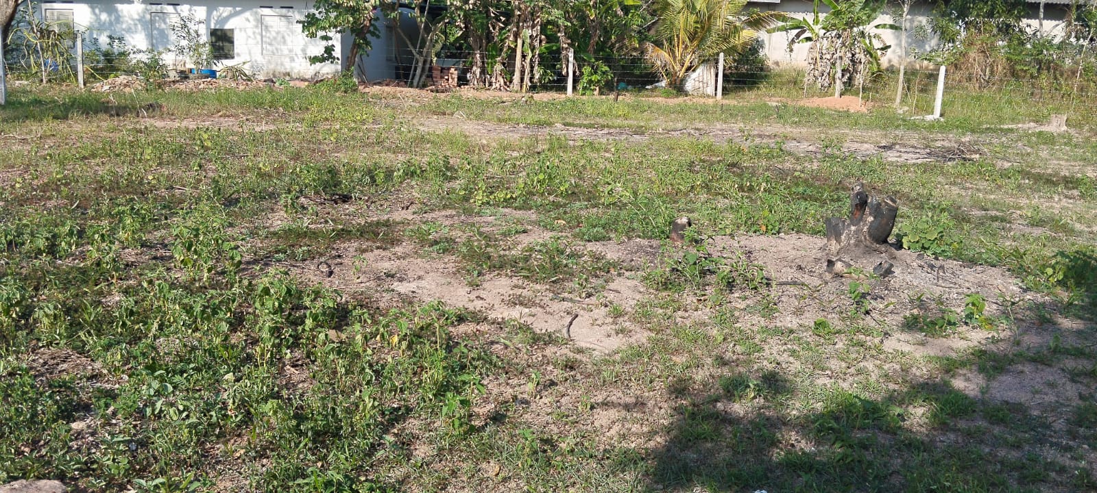 15 Perch Residential Land at Minuwangoda