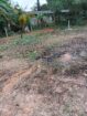 15 Perch Residential Land at Minuwangoda