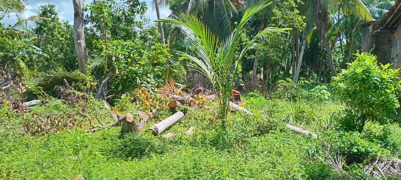 ඉඩමක් සහ නිවසක් විකිණීම