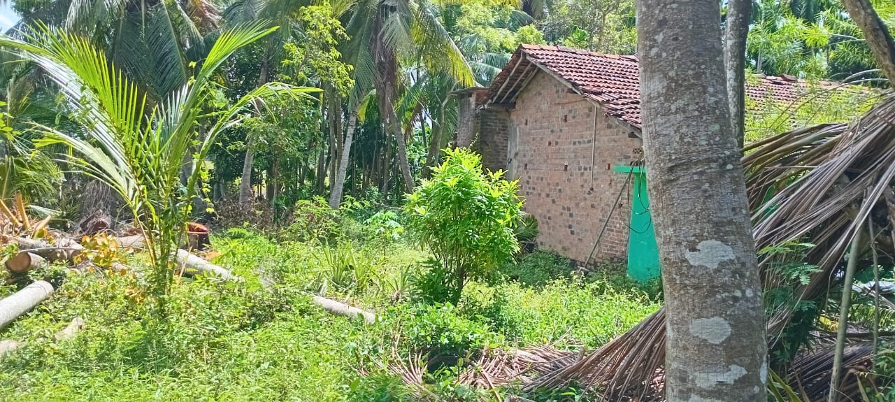 ඉඩමක් සහ නිවසක් විකිණීම