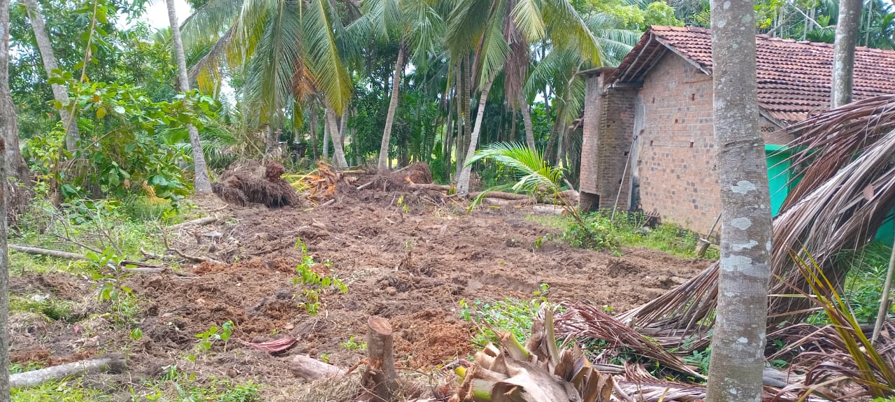 ඉඩමක් සහ නිවසක් විකිණීම