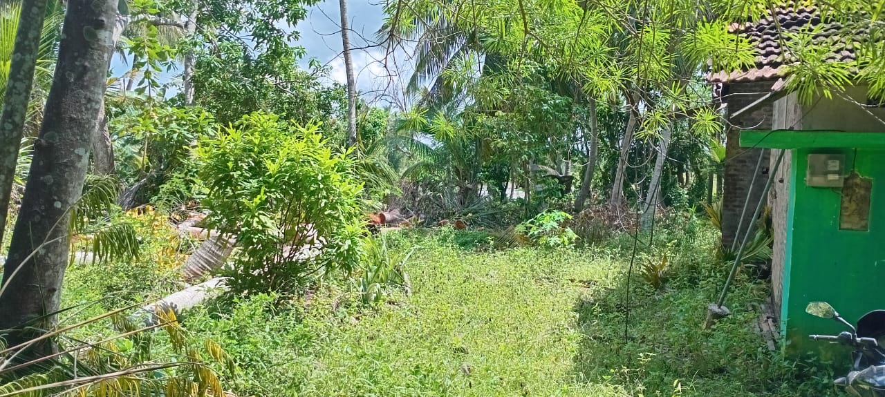 ඉඩමක් සහ නිවසක් විකිණීම