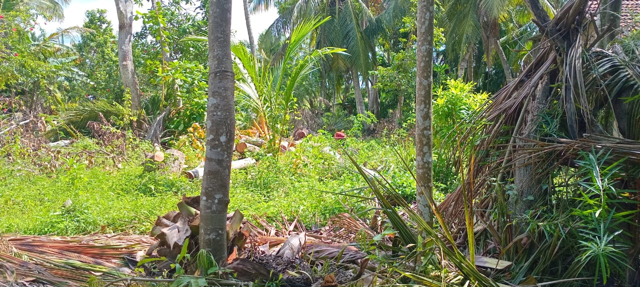 ඉඩමක් සහ නිවසක් විකිණීම