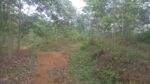 Land for Sale in Kegalle