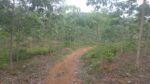 Land for Sale in Kegalle