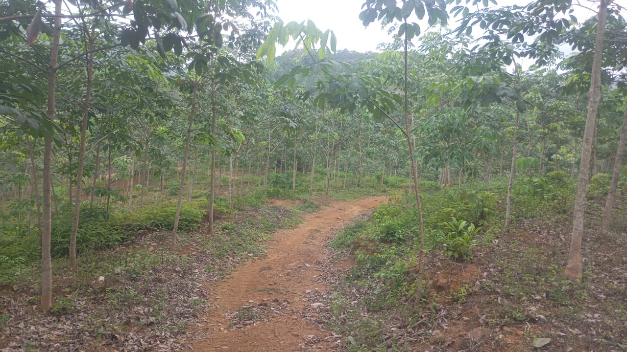 Land for Sale in Kegalle
