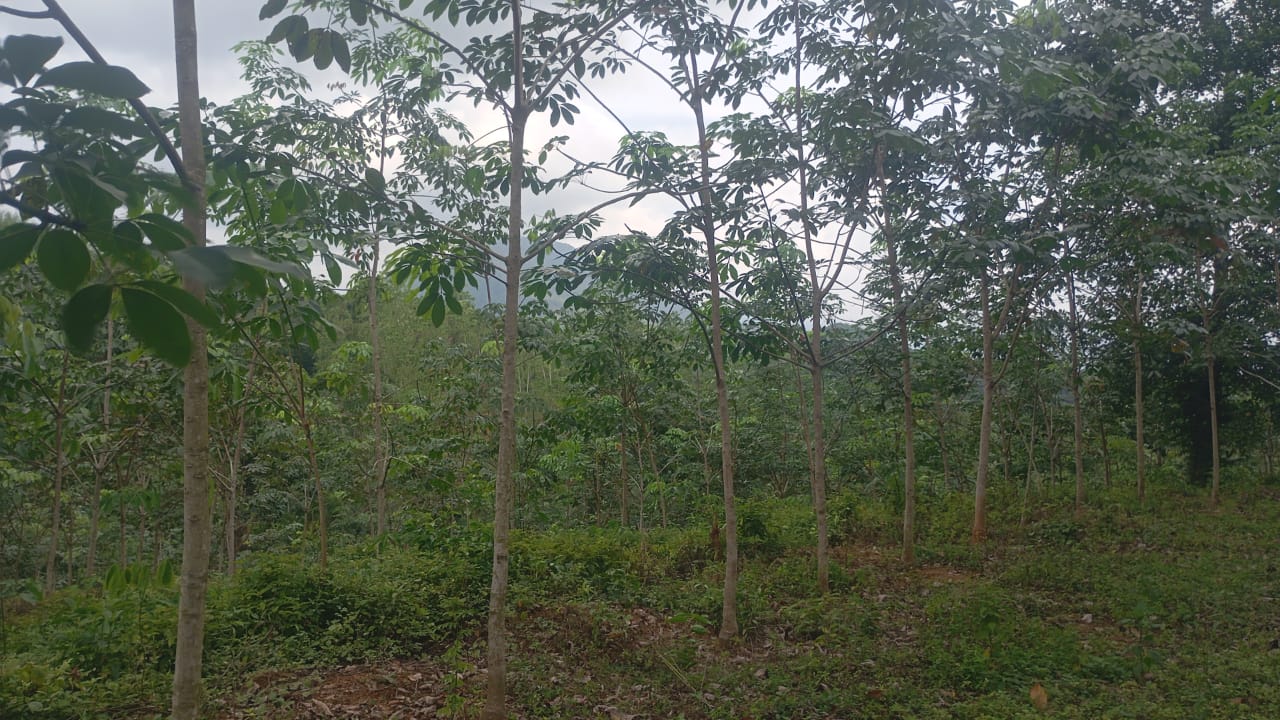 Land for Sale in Kegalle