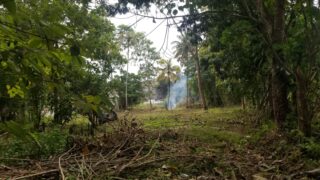 WhatsApp-Image-2026-02-11-at-15.42.01-2-1