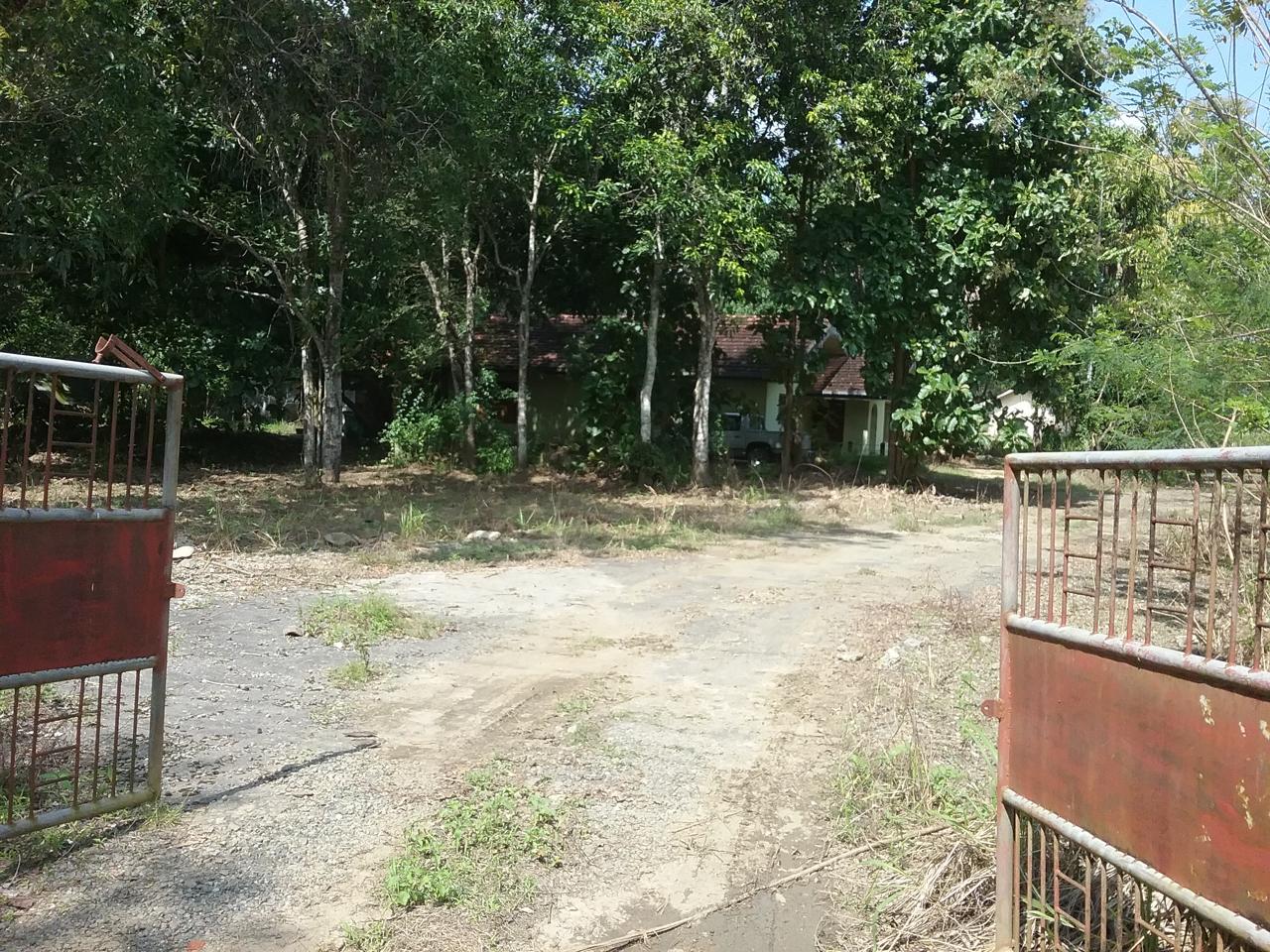 Prime Land for Sale Siyambalanduwa