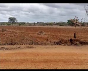 WhatsApp-Image-2026-02-12-at-9.59.43-AM-1