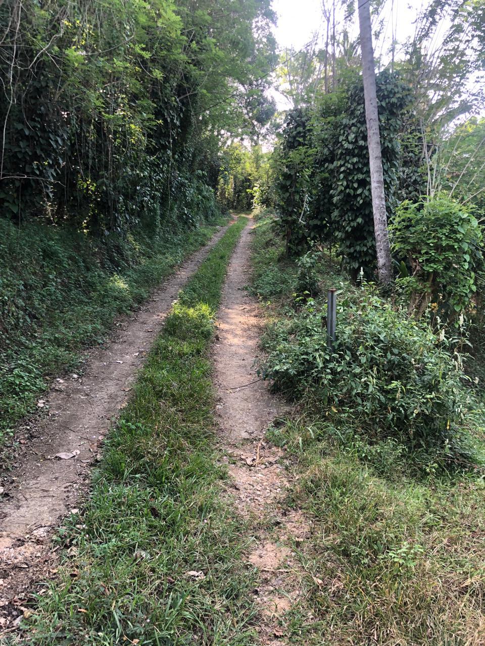 Land for Sale Nikawella Rattota, Matale