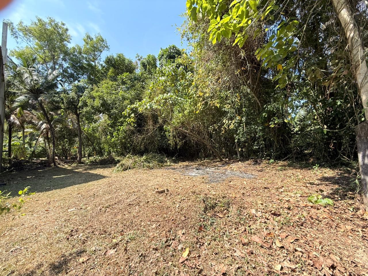 Land for Sale in Katunyake – Kotarupe