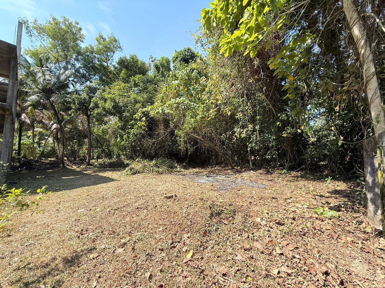 Land for Sale in Katunyake – Kotarupe