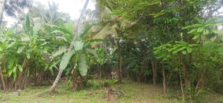 WhatsApp-Image-2026-02-16-at-10.14.47-AM