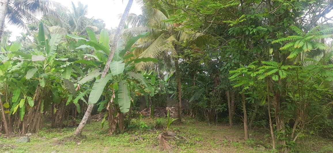 කැලණිය එක්සත් මාවතෙන් පදිංචියට ඉඩමක්