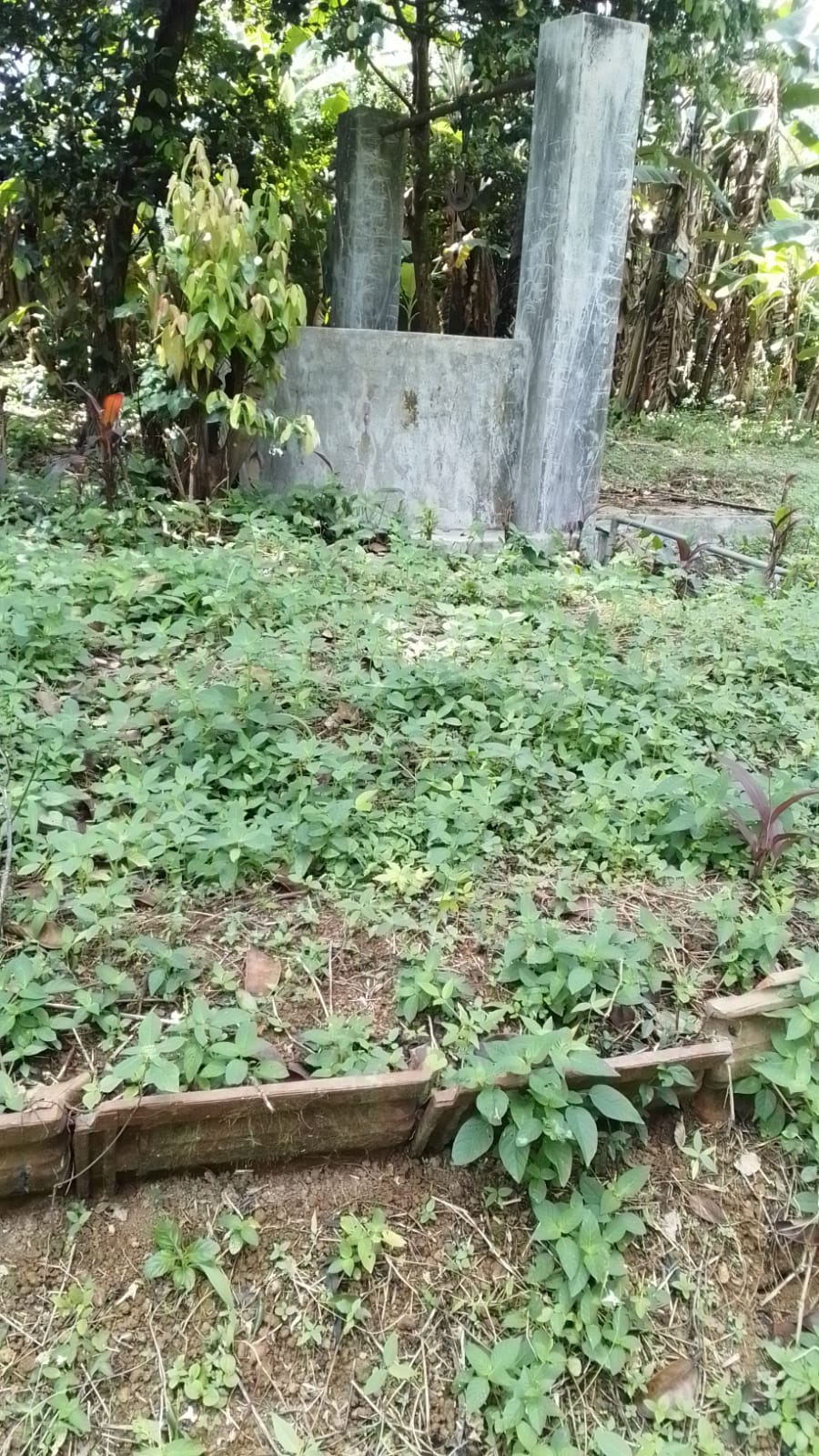 පර් 30 හැතරස් ඉඩම මාකොල දේවාල පාර