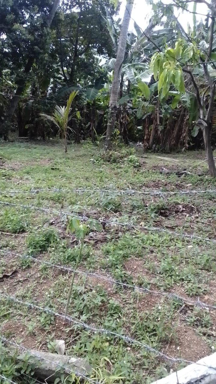 පර් 30 හැතරස් ඉඩම මාකොල දේවාල පාර