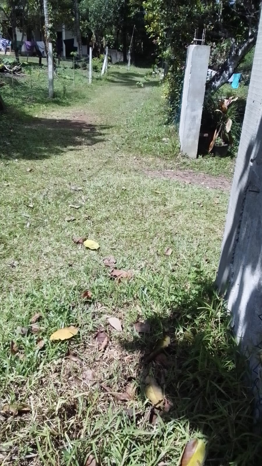 පර් 30 හැතරස් ඉඩම මාකොල දේවාල පාර