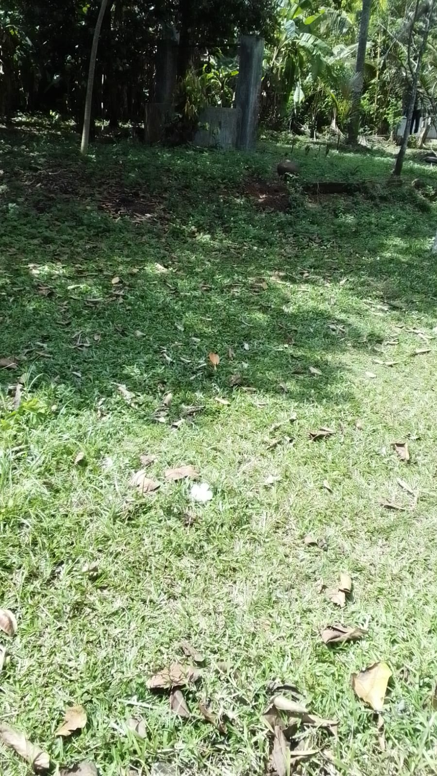 පර් 30 හැතරස් ඉඩම මාකොල දේවාල පාර