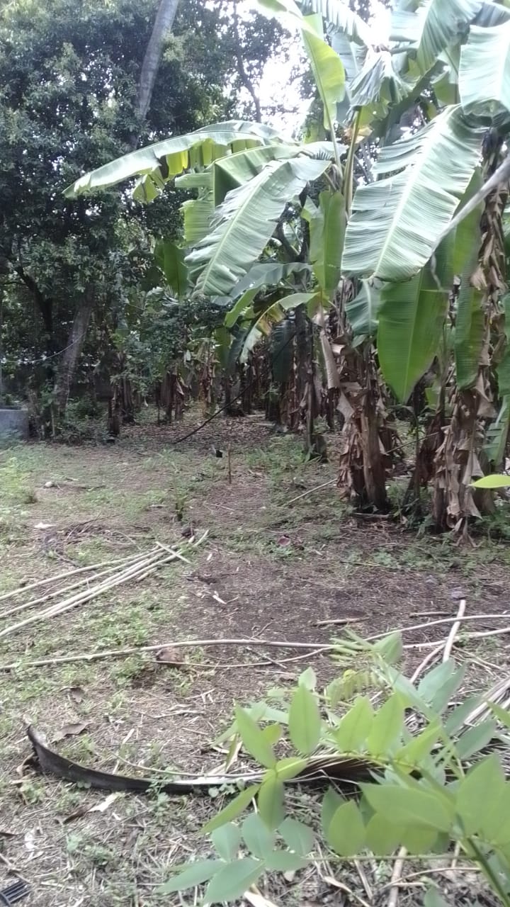 පර් 30 හැතරස් ඉඩම මාකොල දේවාල පාර