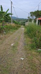 WhatsApp-Image-2026-02-16-at-12.15.08-2