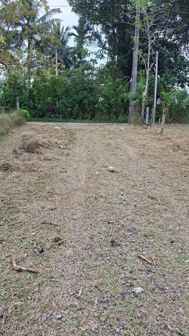 Embulgama Land for Sale