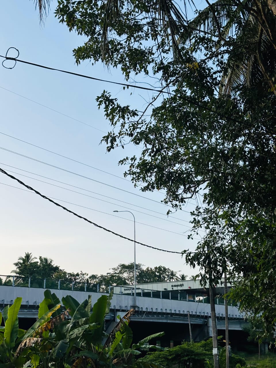 Commercial Land for Sale in Narammala