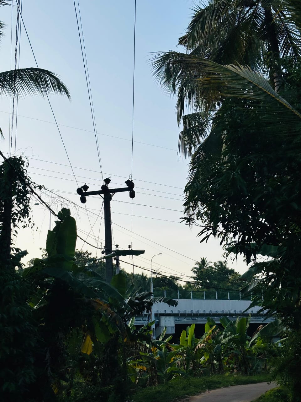 Commercial Land for Sale in Narammala