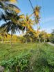 Commercial Land for Sale in Narammala
