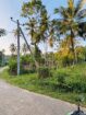 Commercial Land for Sale in Narammala