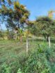 Commercial Land for Sale in Narammala