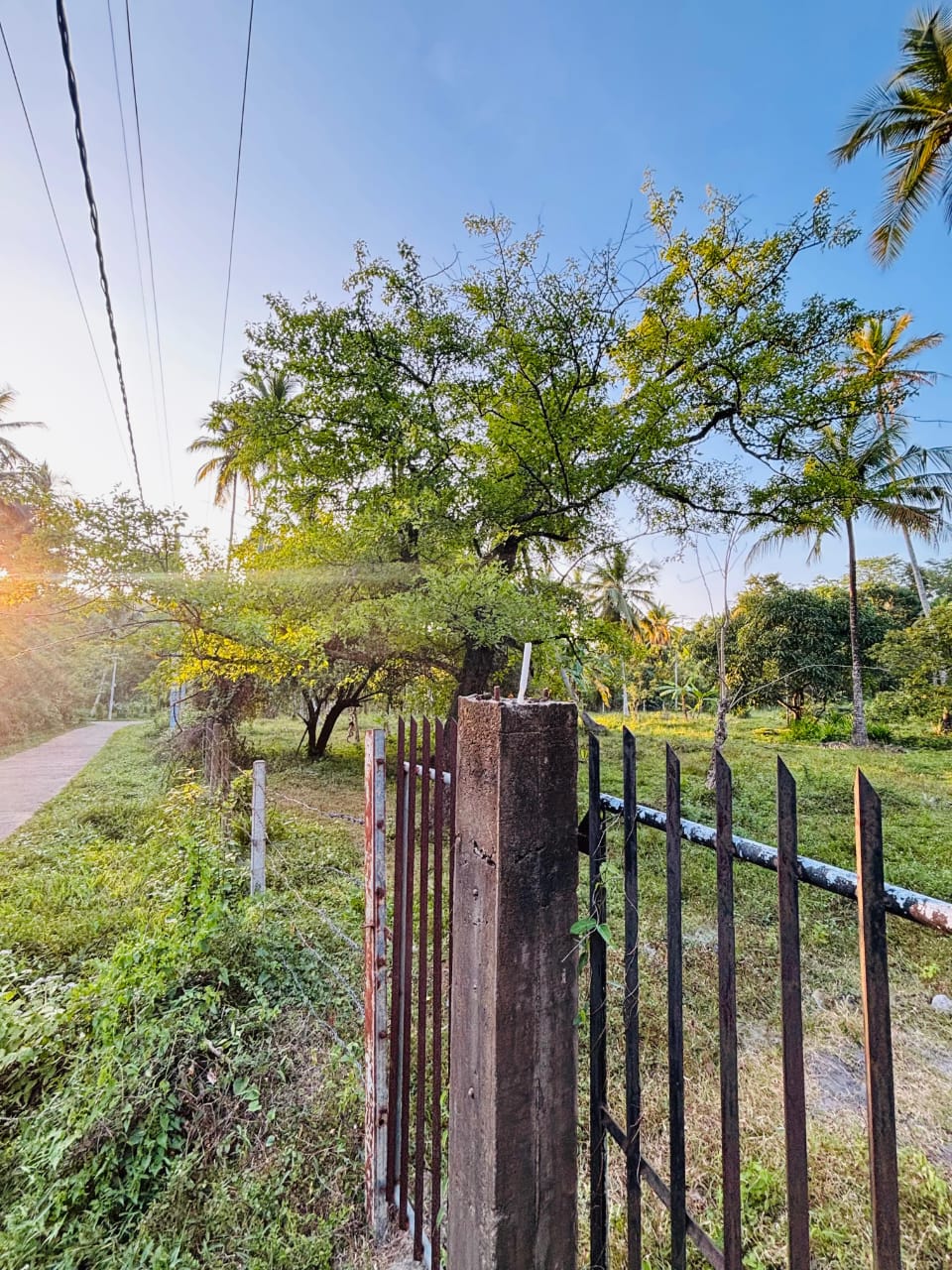 Commercial Land for Sale in Narammala