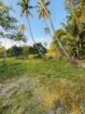 Commercial Land for Sale in Narammala