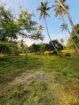 Commercial Land for Sale in Narammala