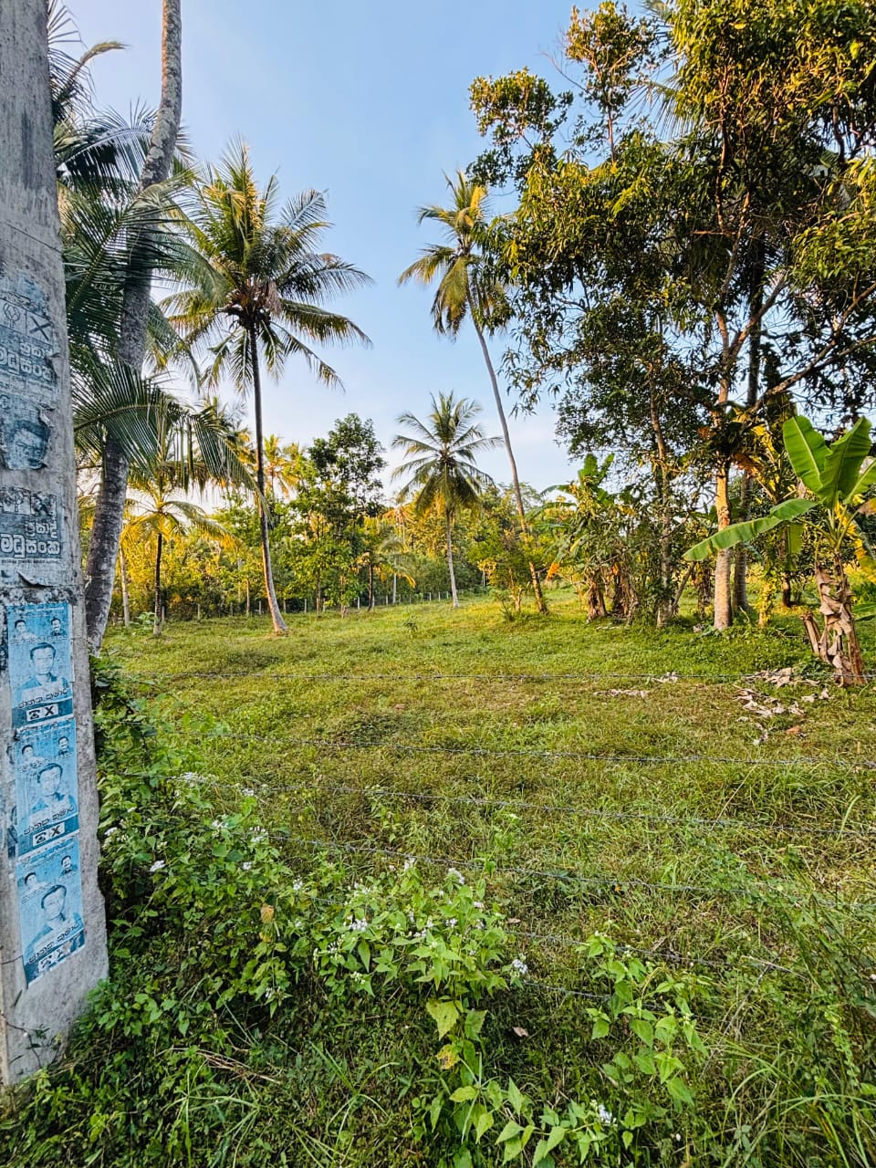 Commercial Land for Sale in Narammala