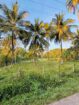 Commercial Land for Sale in Narammala