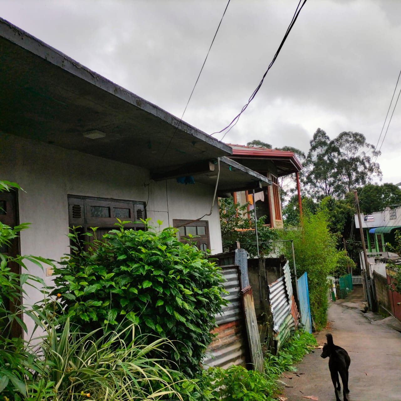 Fully Furnished House for Sale Diyathalawa