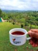 House for Sale Kandy