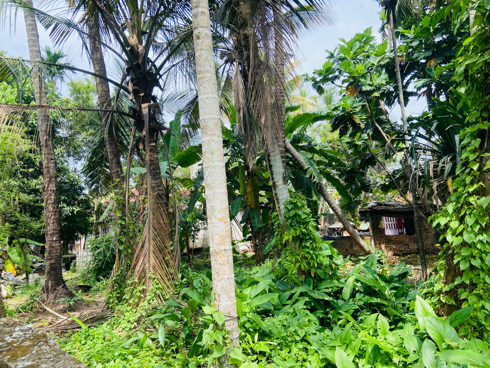 Land for Sale – Thudalla